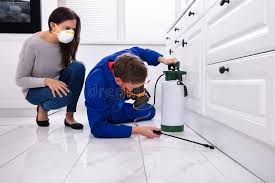 Best Pest Prevention Services  in Des Allemands, LA