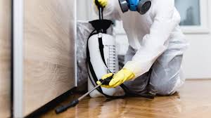 Best Fumigation Services  in Des Allemands, LA