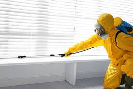 Best Pest Control for Hotels  in Des Allemands, LA